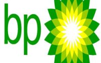 BP 2go in Martinborough