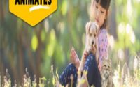 Animates in Paraparaumu