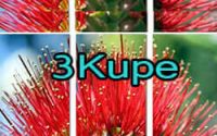 3kupe in coopers beach
