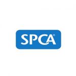 spca in new plymouth