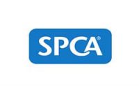 spca in new plymouth